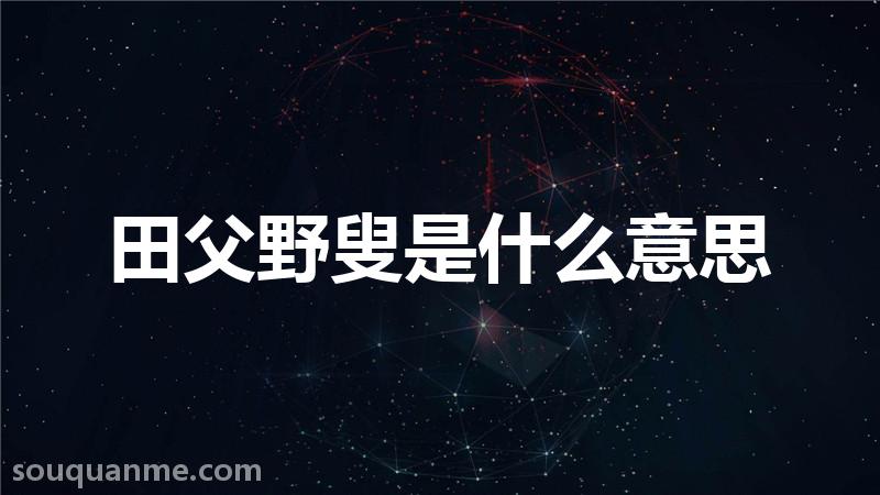 田父野叟是什么意思 田父野叟的拼音 田父野叟的成语解释